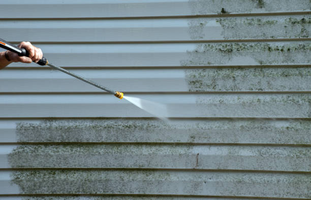 Best Residential Pressure Washing Services  in Pearl River, MS