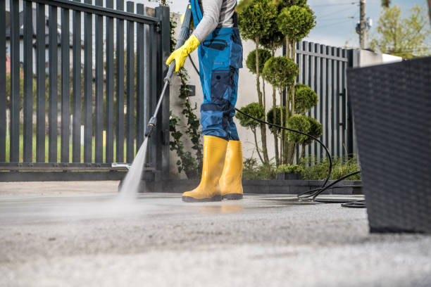 Best Affordable Pressure Washing  in Pearl River, MS