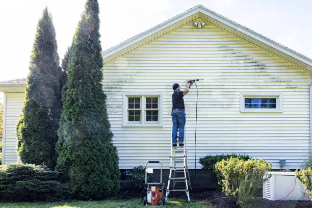 Best Exterior Home Cleaning  in Pearl River, MS