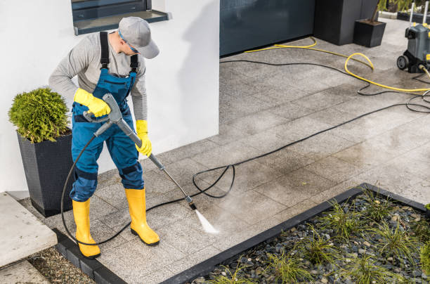 Best Roof Pressure Washing  in Pearl River, MS