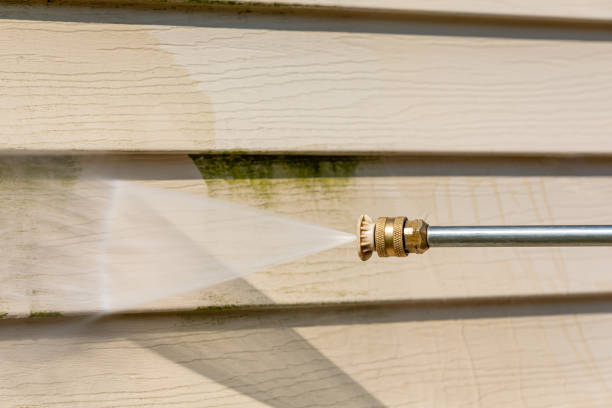 Best Local Pressure Washing Services  in Pearl River, MS